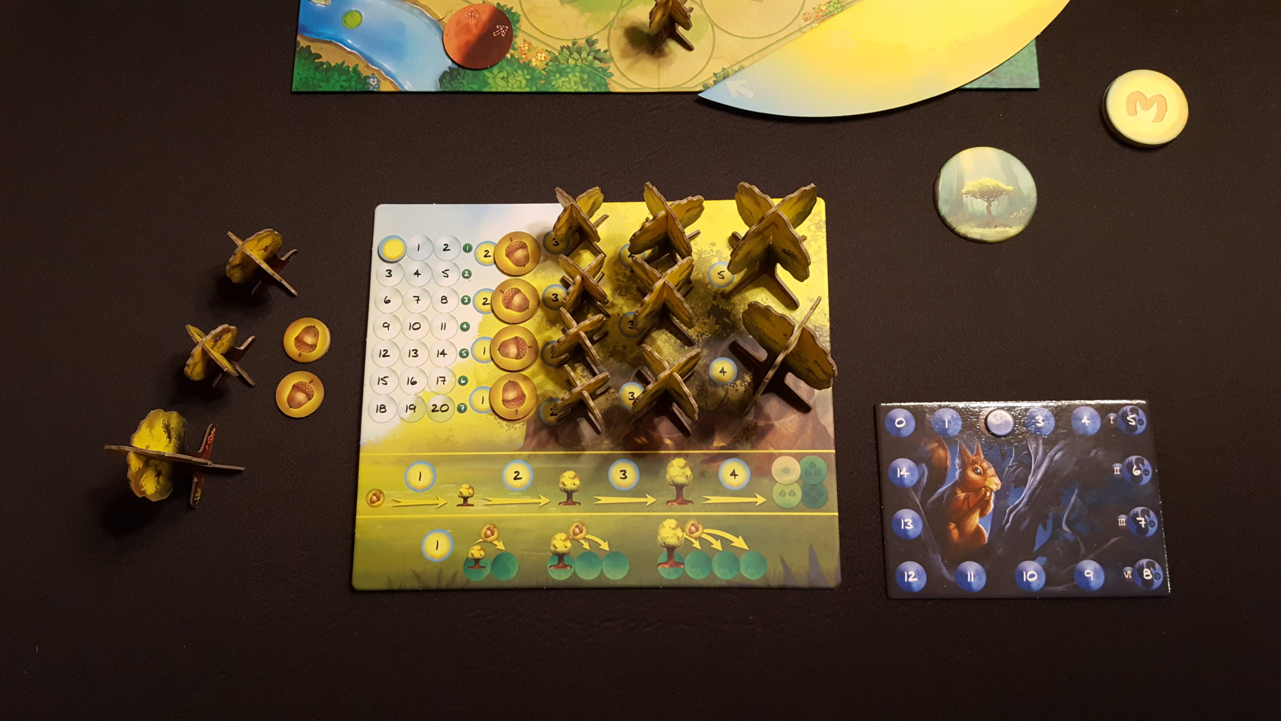 Photosynthesis Under The Moonlight Board Game Review The Board Game Family